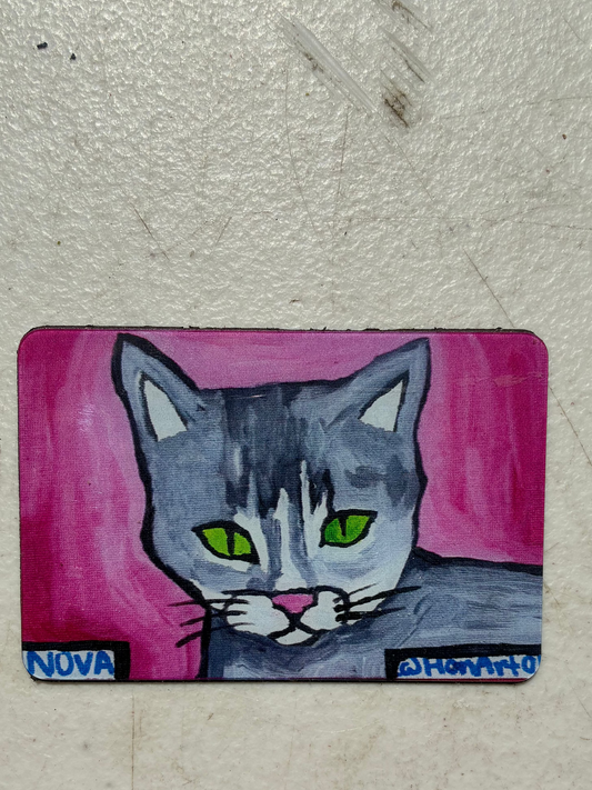 Nova Magnets
